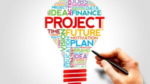 project manager