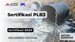 sertifikasi plb3 bnsp