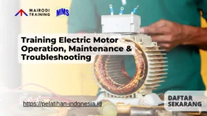 Training Electric Motor Operation, Maintenance & Troubleshooting Mairodi Training