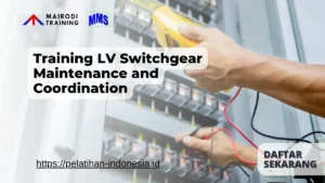 Training LV Switchgear Maintenance and Coordination Mairodi Training