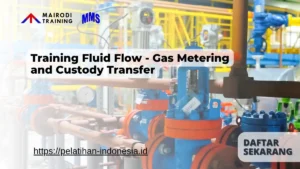 Training Fluid Flow - Gas Metering and Custody Transfer Mairodi Training