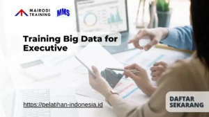Training Big Data for Executive Mairodi Training