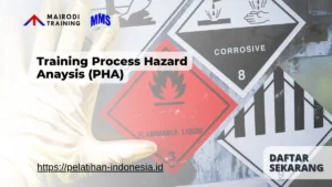 Training Process Hazard Anaysis (PHA) Mairodi Training
